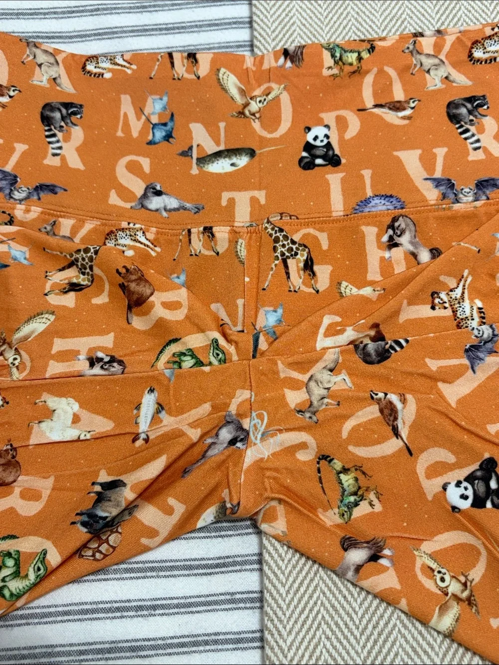 NWOT Darling Daisies Bamboo Alphabet Animals Lounge Set Pjs Oversized Tee Bikers